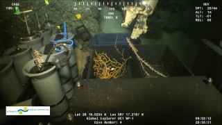 The manipulator arm of ROV Global Explorer places a piece of bamboo coral in the open biobox next to a previously collected Paramuricea coral with brittlestar.
