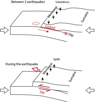 The Seismic cycle of a subduction zone (Modified after Vigny et al. 2005).