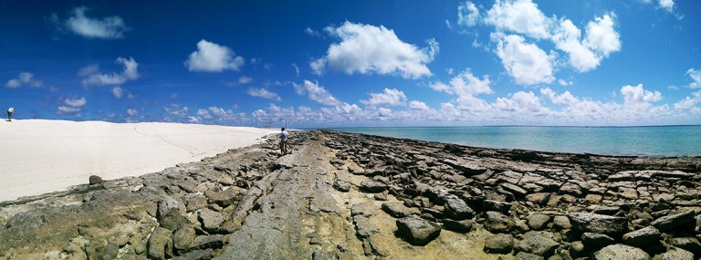 The impressive expanse of faulted and uplifted limestone stretching from the beach into the water.