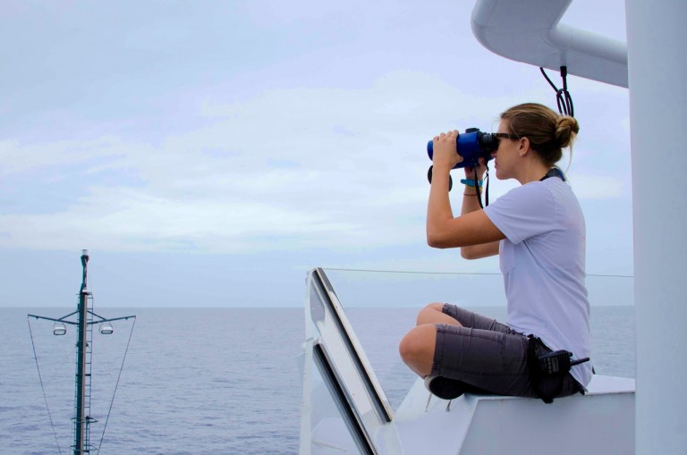 Ali Bayless on marine mammal observer duty on the observation deck. 