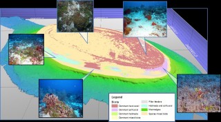 A shoal surveyed using multibeam and overlayed with and a habitat map. 