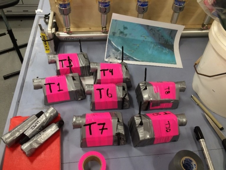 Temperature loggers that were deployed via snorkeling on the reef rim. Bright pink to be able to find them again.