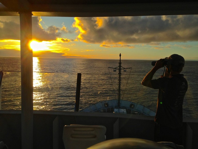 Daniel Luers, scanning for whales at sunset from Falkor's monkey deck.