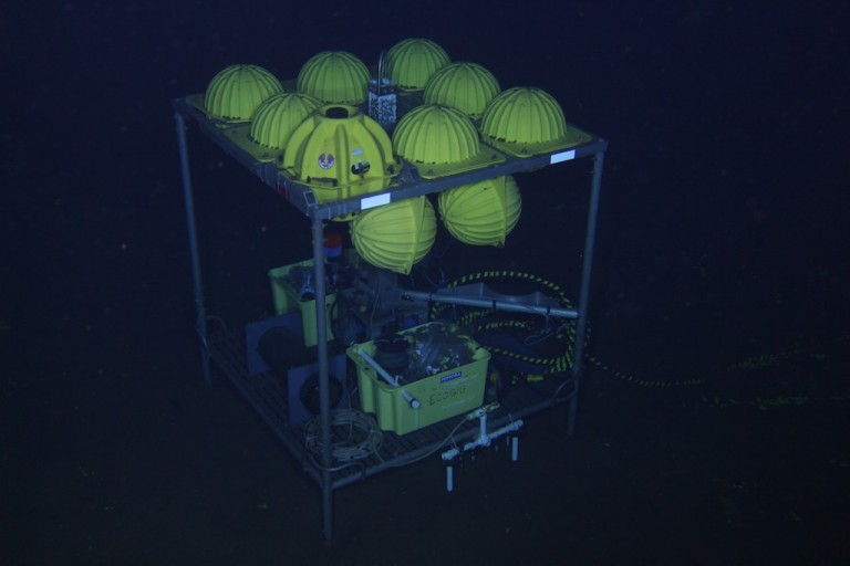 ECOGIG benthic lander on the seafloor near the site of the Deepsea Horizon oil spill. 
