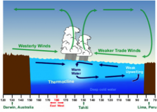 The diagram shows the disrupted airflow and ocean mixing pattern during El Niño conditions. 