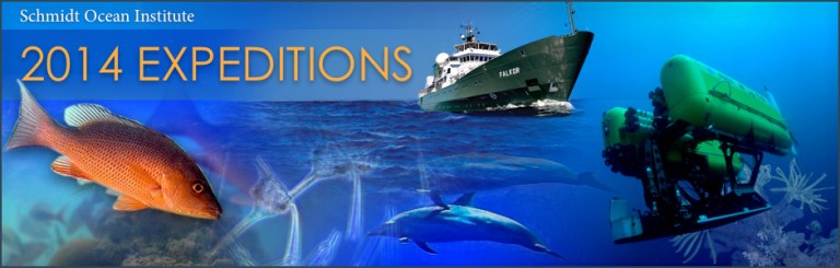2014 Expeditions Image