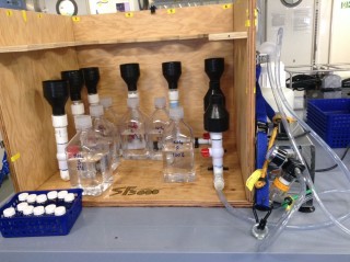 The filtering rig has been kept busy filtering lots of water samples. 