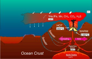 Graphic of a vent at a spreading center forming a hydrothermal plume (not to scale). Seawater penetrating cracks in the crust is heated by magma several kilometers deep. The heated seawater carries chemicals from the magma and the crustal rocks to the ocean. The discharging fluids are diluted by seawater, rise a few hundred meters, and are dispersed laterally by local currents.