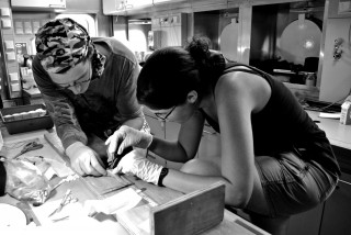 Scientists on board perform a snailfish dissection. 