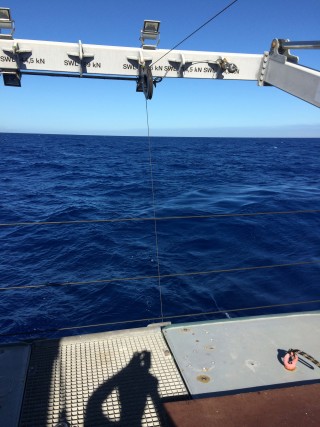The CTD rosette wire disappearing into the ocean.