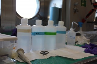 Seawater samples waiting to be processed.