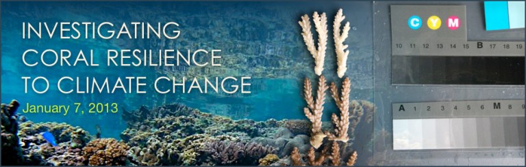 Investigating Coral Resilience to Climate Change banner. 