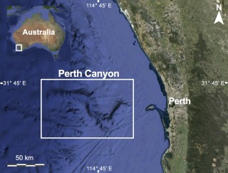 Land satellite map of the Perth Canyon.