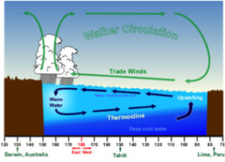 This diagram shows the normal atmospheric-oceanic interactions in the Pacific Ocean.