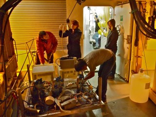 Processing the last sample from the last ROV dive.
