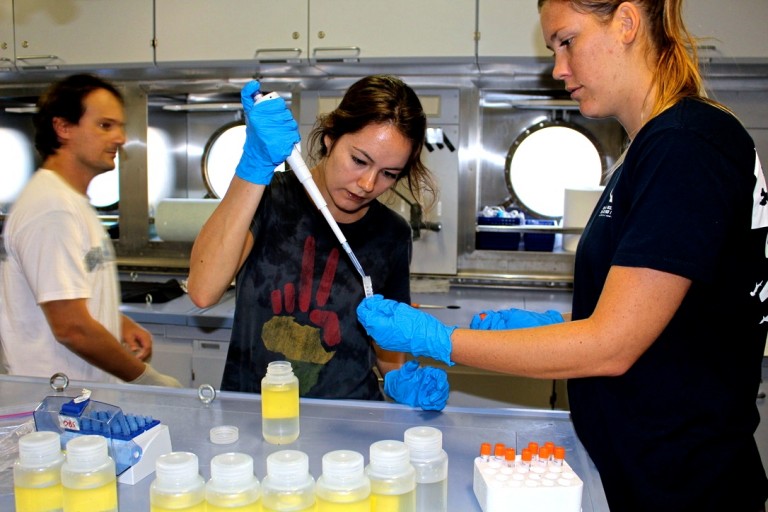Natasha Griswold (l) and Danielle Hoen (r) preparing CTD samples for biological analyses. Saulo Soares is in the background. 