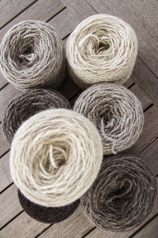 The wool’s natural colors.