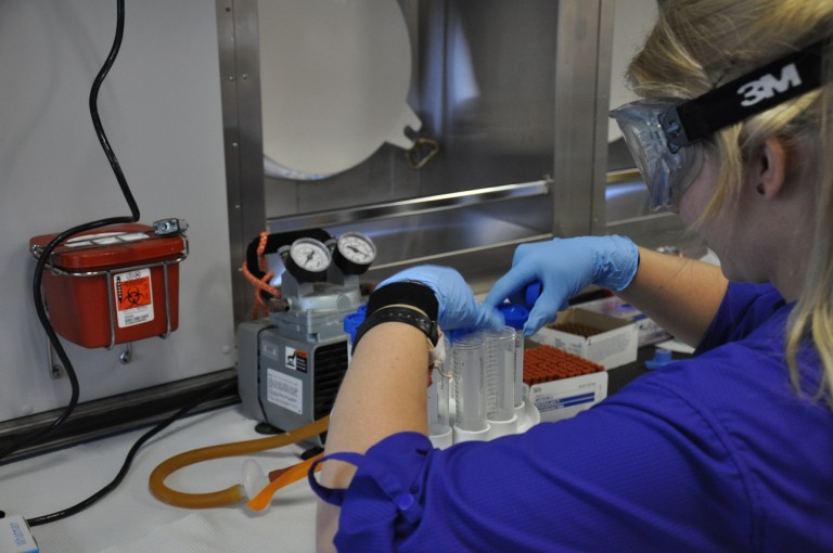 Undergraduate student Kelsey Fisher works to process samples for phytoplankton.