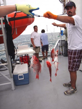 Full line of fish were brought aboard.