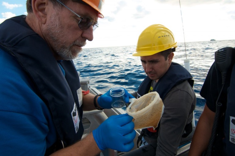 Oceanographer Ian MacDonald and graduate student Mauricio Silva collect a surface oil sample for analysis.