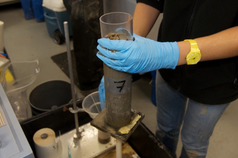 This sediment push core was taken off the ROV and brought into the lab for subsamping and analysis.
