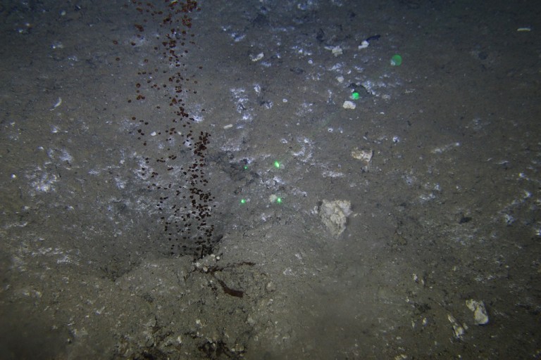 Dark oily bubbles escape from the seafloor at a natural oil seep. 