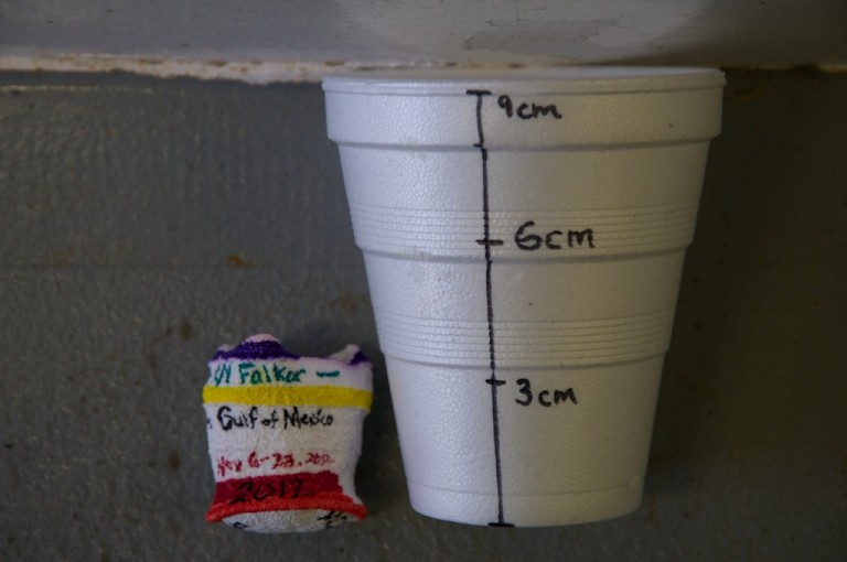 standard foam coffee cup was shrunk by the pressure of descending to 1,800 meters on the ROV Global Explorer MK3. This image shows the shrunken cup next to its original size. 