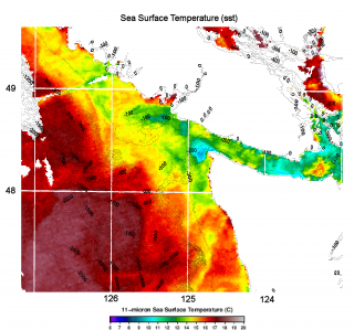 Jim Gower at the Institute of Ocean Sciences sent the team this current map of sea surface temperatures, which shows the front between colder and warmer waters that forms the California current.
