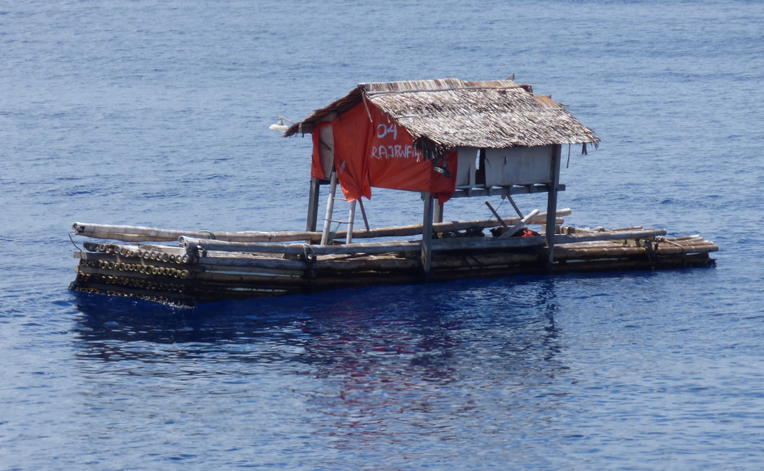 It's a Houseboat FAD, a Fish Aggregating Device - Schmidt Ocean Institute