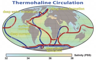 A summary of the path of the thermohaline circulation. Blue paths represent deep-water currents, while red paths represent surface currents. This collection of currents is responsible for the large-scale exchange of water masses in the ocean.