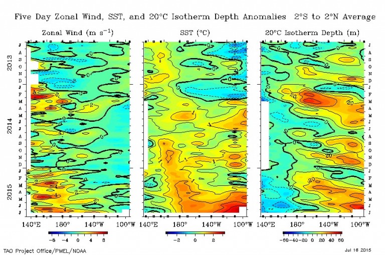 These graphs show changes to the surface winds, sea surface temperature and depth of the 20C isotherm along the equator from mid-2013 until recently (taken from the PMEL TAO web site). The strong westerly wind events are seen to have started at the beginning of this year, with warm waters building up in the central and eastern Pacific from March onwards.