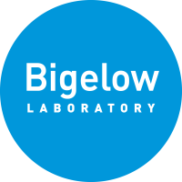 Bigelow SecondaryLogo