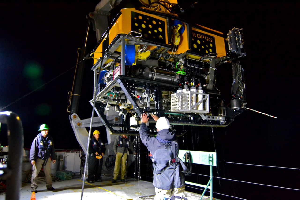 Leg Two, Open Ocean to Inner Sea - Schmidt Ocean Institute