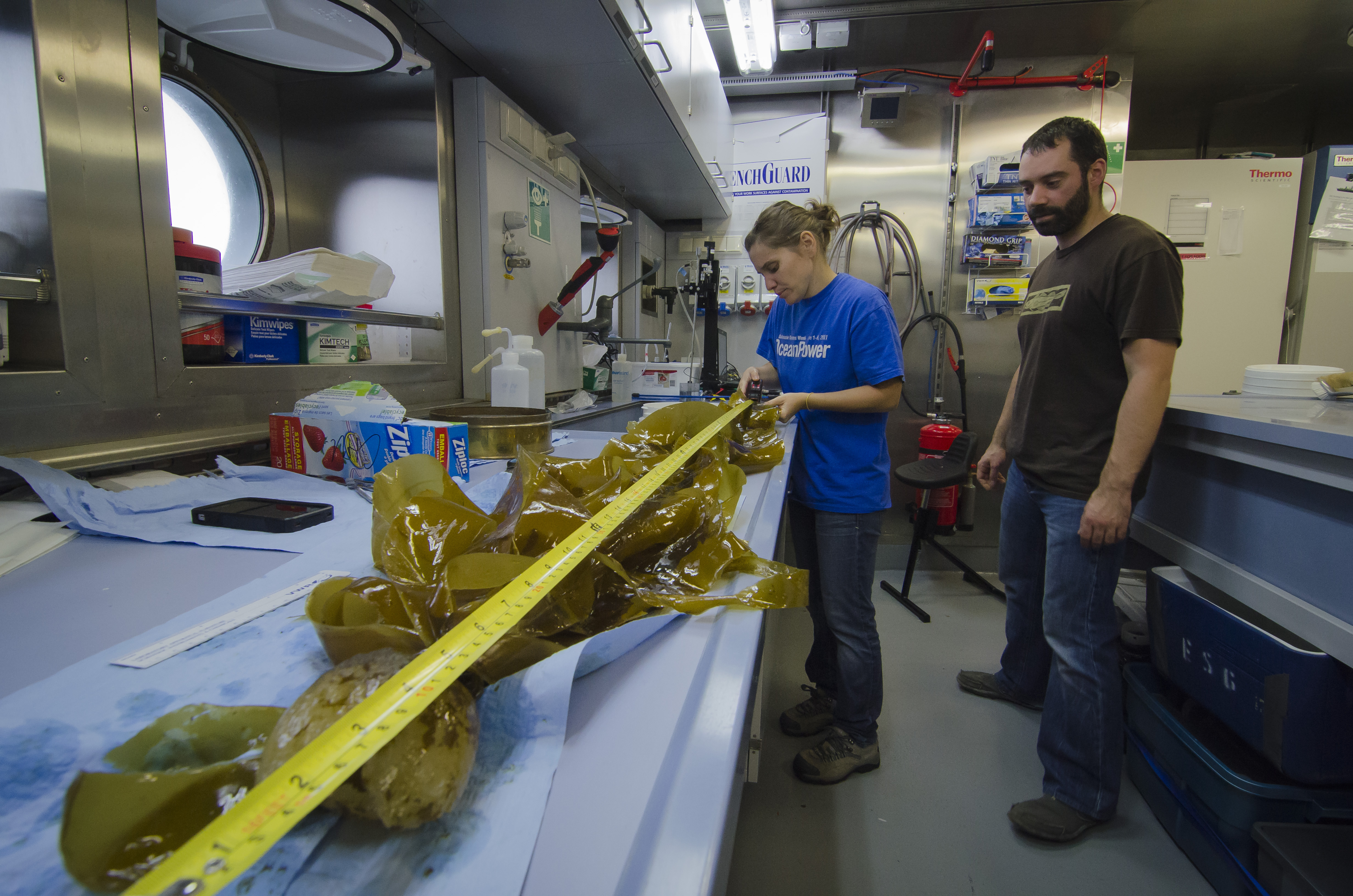 Leg Two, Open Ocean to Inner Sea - Schmidt Ocean Institute