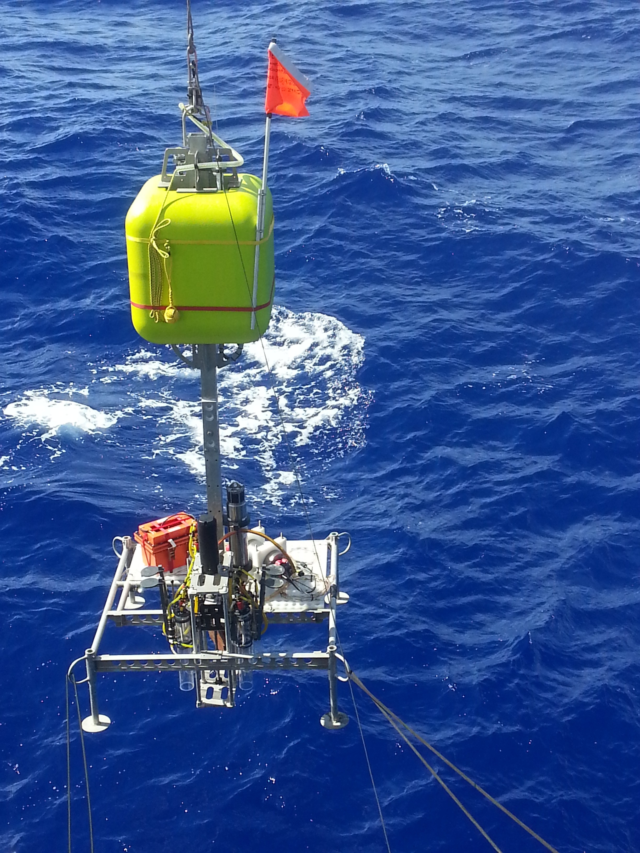 exploring-the-mariana-trench-schmidt-ocean-institute