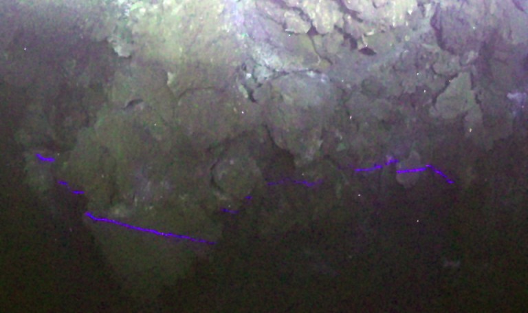 One of the thousands recorded raw images of the Niua Volcanic Complex from the Virtual Vents Research cruise. Here, a blue line near the bottom indicates that the seabed is very close to the camera and a blue line near to the top of the image means that the seabed is far away. 