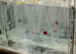 After some days in controlled conditions, the samples in the incubators will start telling stories.