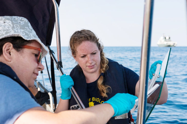 Kimberley Bird, PhD student at the University of East Anglia, collects sea surface microlayer samples using a glass plate. Microbial communities in the SML are distinct from those in the underlying water column. This unique and mostly invisible marine ecosystem controls the interactions between the atmosphere and the ocean. 