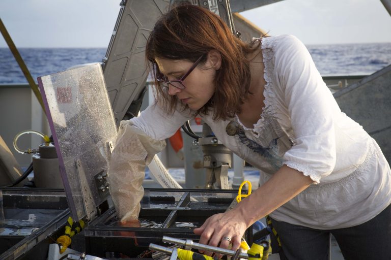 Amanda Bates retrieves hairy snail samples from the BioBox on the front of ROB SuBastian