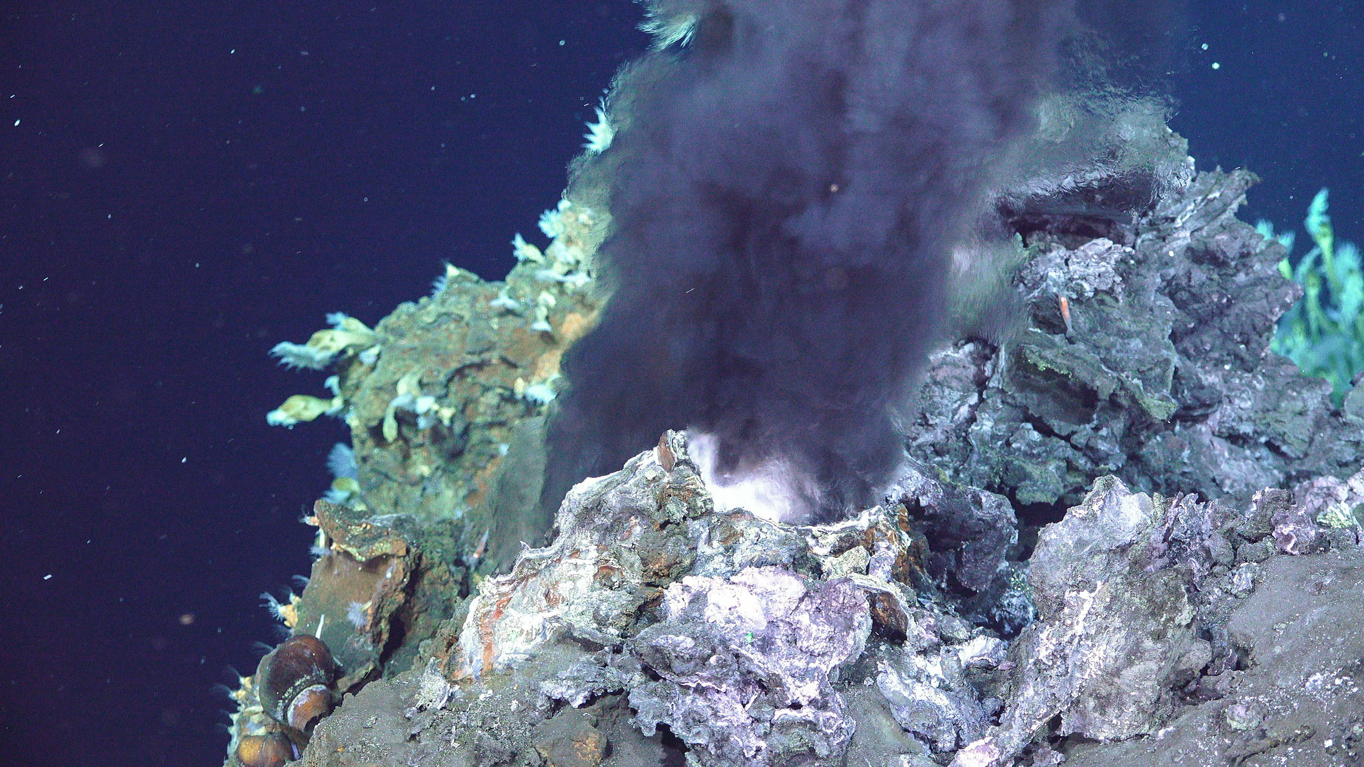 Черные курильщики океана. Подводный вулкан Колумбо. Подводные курильщики Тихого океана. Вулкан черный курильщик. Бануа вуху Индонезия подводный вулкан.