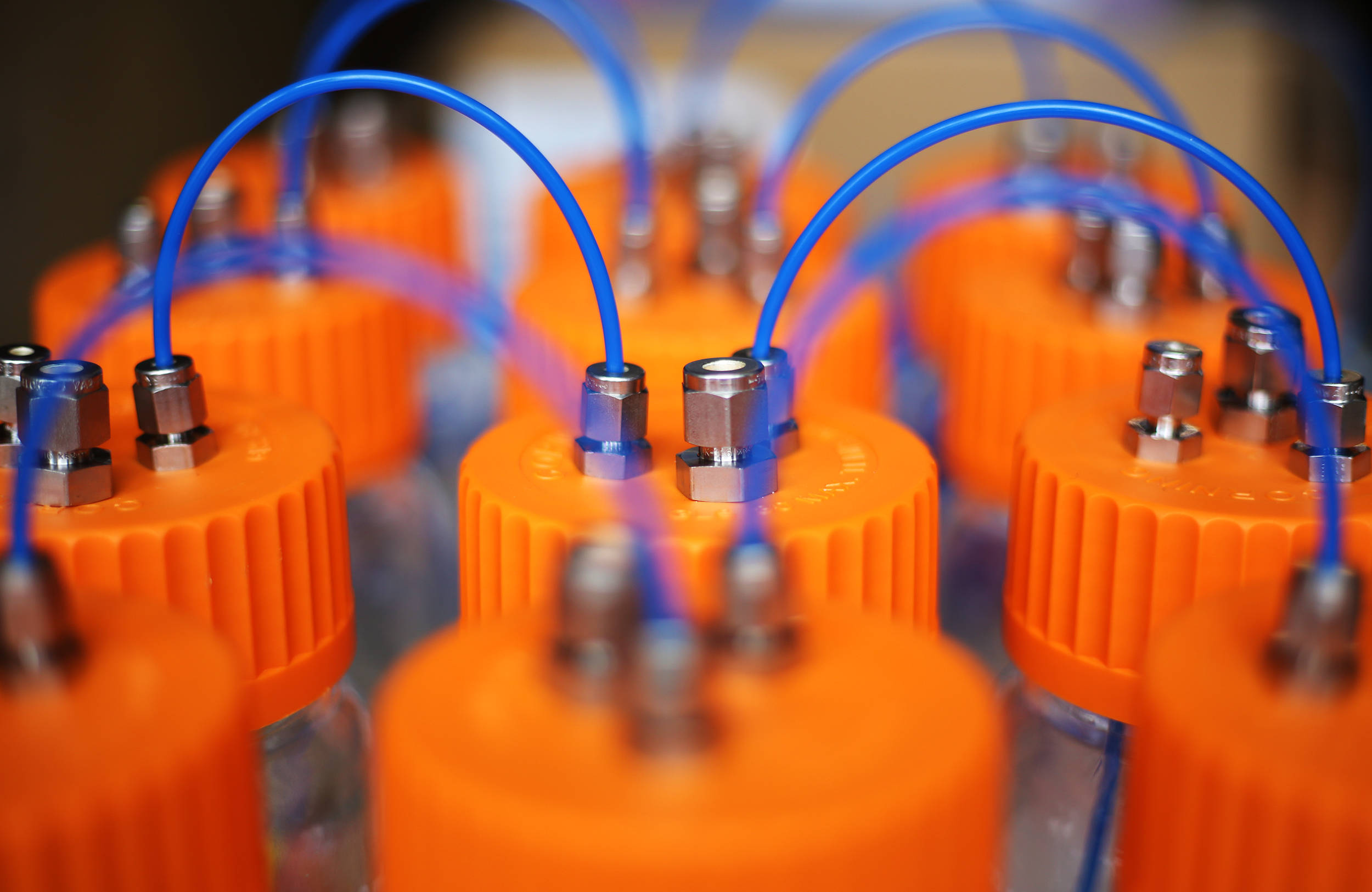 Solving Microbial Mysteries with Autonomous Technology - Schmidt Ocean ...