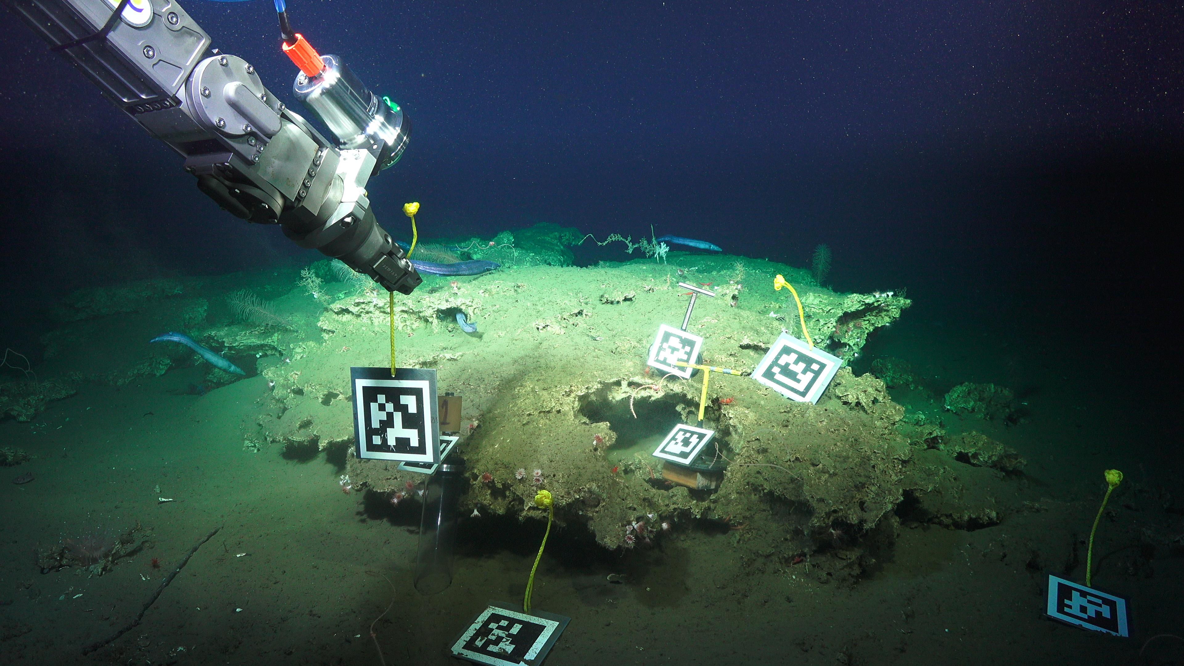 ROV Dives New Approaches To Autonomous Exploration At The Costa Rican