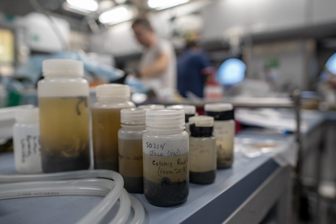 Exploring the Costa Rican Depths with Costa Rican Eyes - Schmidt Ocean ...