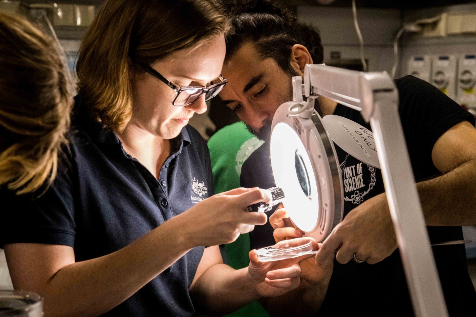 Australian Scientists Discover New Corals on Most Comprehensive Deep ...