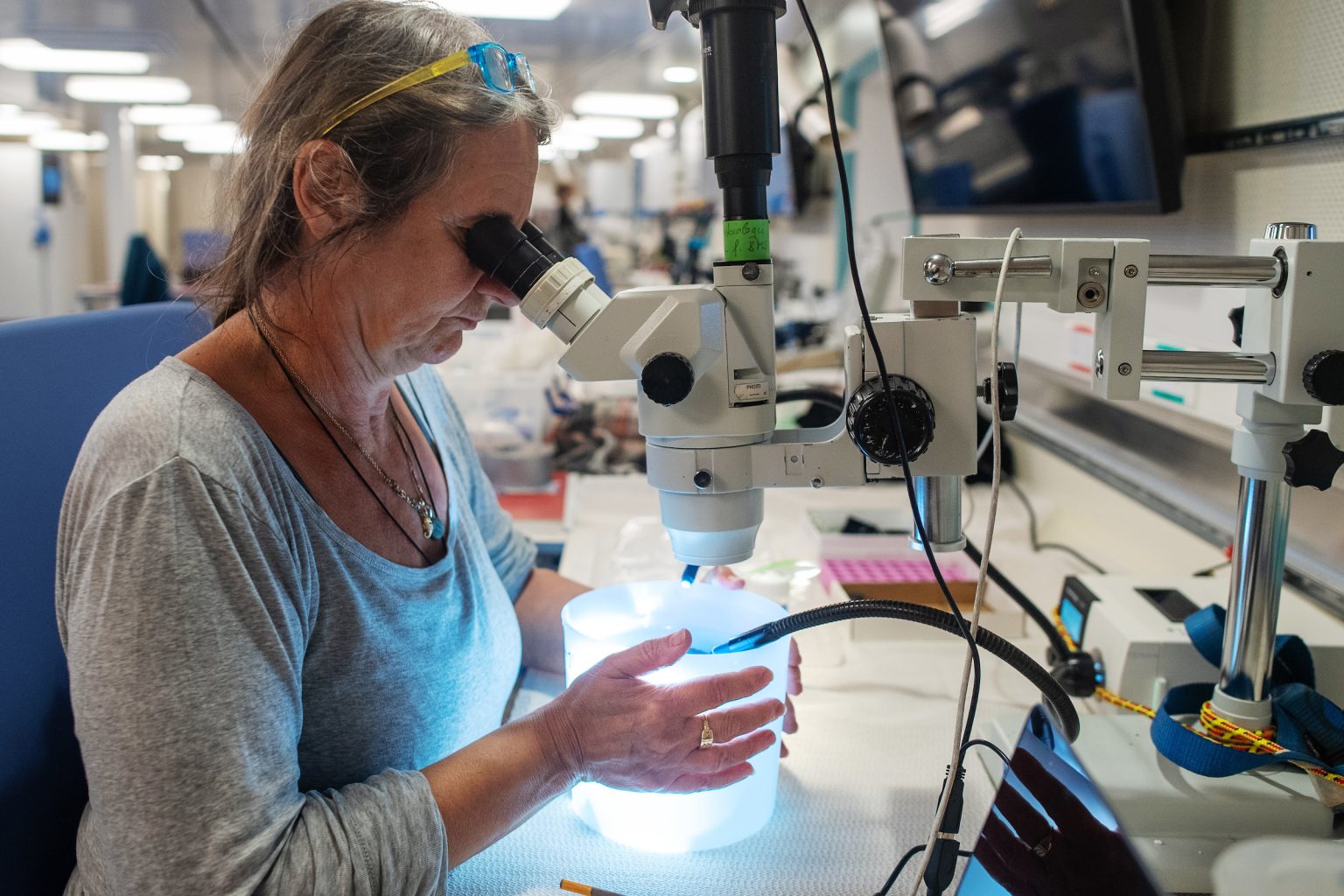 Scientists Discover New Ecosystem Underneath Hydrothermal Vents ...