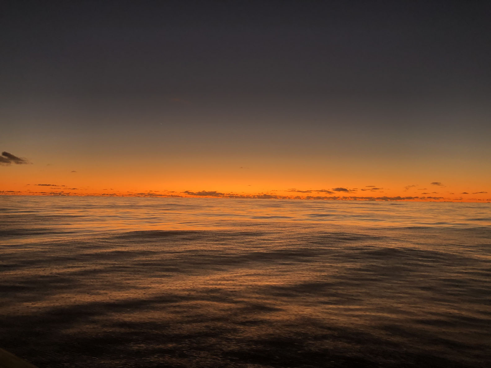 First Experience at Sea - Schmidt Ocean Institute