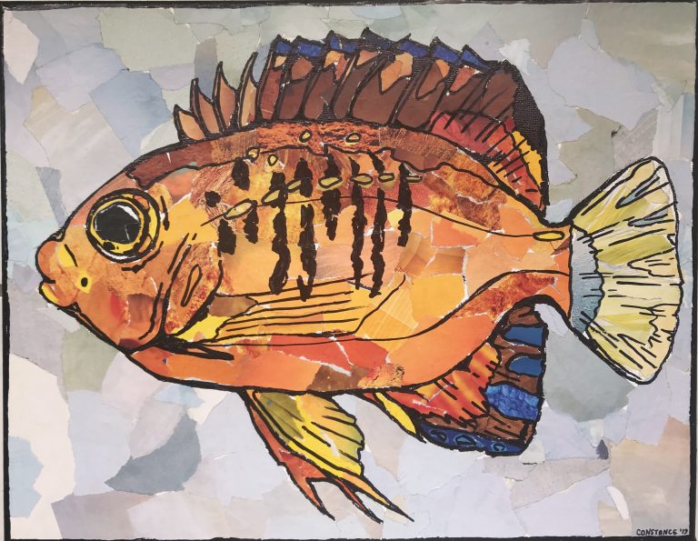 A picture of a collage art piece by Constance Sartor. The image depicts a bright orange fish with yellow caudal and pelvic fins, and a bright blue anal fin. 