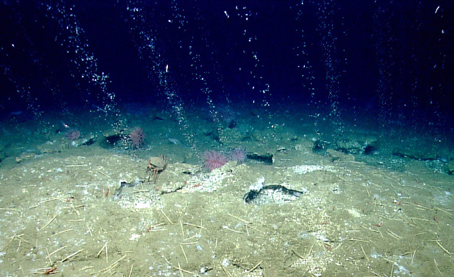 Ocean Bubbles