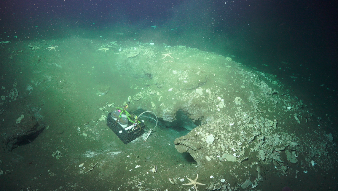 The End and the Beginning - Schmidt Ocean Institute