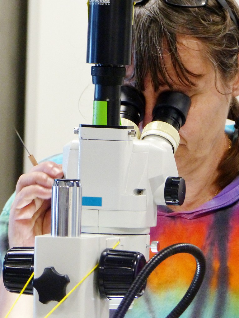 Blog author Monika Bright taking microscopic photographs of collection from the Vent Life expedition onboard the R/V Falkor.